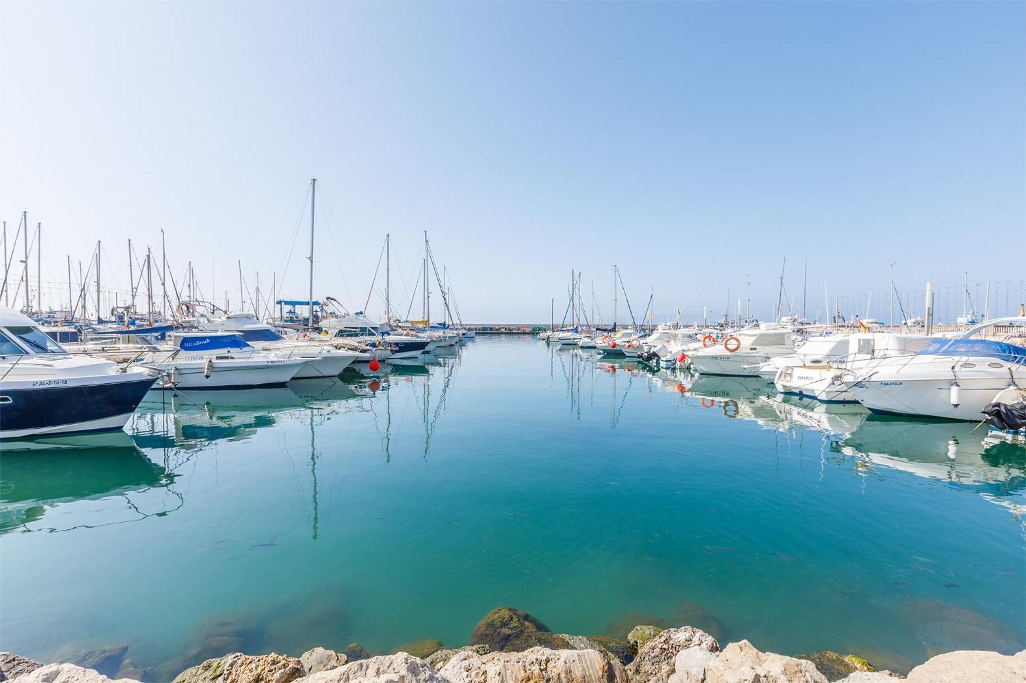 A&N Seaport Caleta Leilighet Caleta De Velez Eksteriør bilde